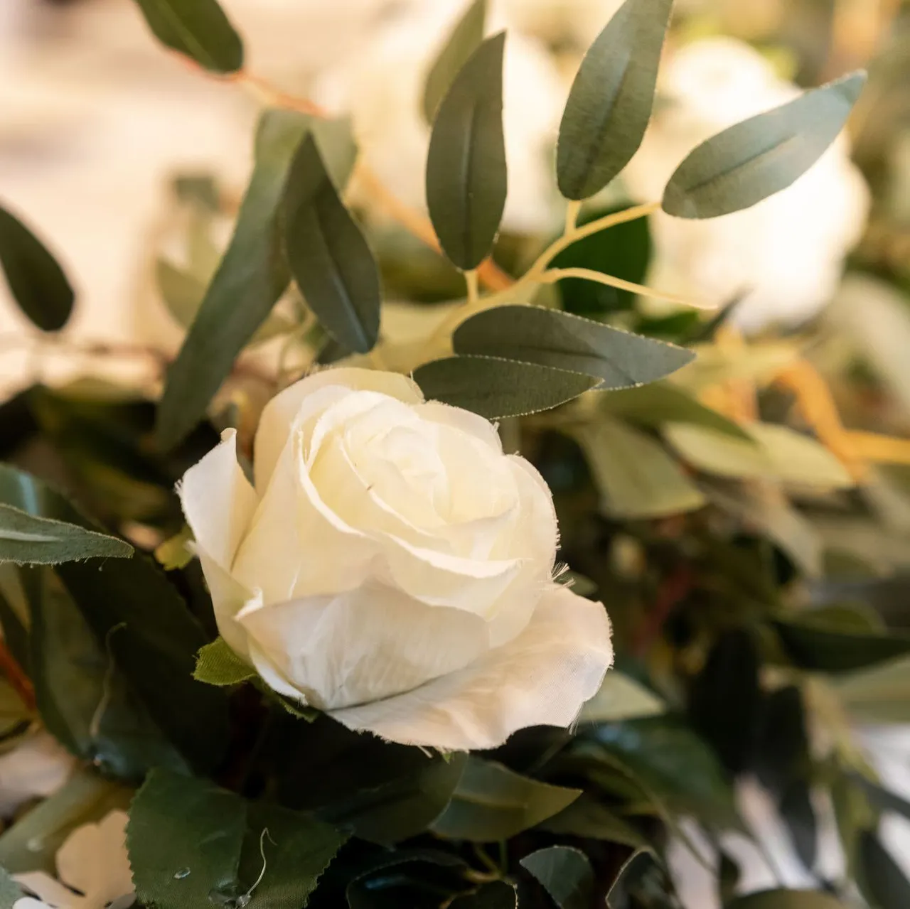 Close-up of a white rose surrounded by green leaves